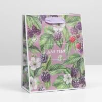 Пакет подарочный бумажный (18х23х8) крафт Для тебя 1/300