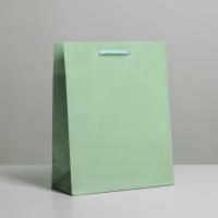 Пакет подарочный бумажный (18х23х8) ламинир Зеленый 1/400