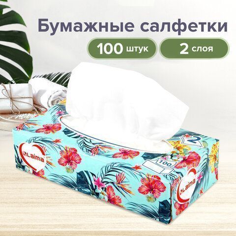 Салфетки косметические 2-сл в короб 20х20см (100шт) в картонном боксе Лайма 1/35 (клиент)