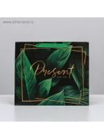 Пакет подарочный бумажный (27х23х11,5) ламинир Present 1/200