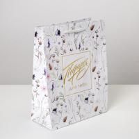 Пакет подарочный бумажный (18х23х8) ламинир Gift for you 1/1