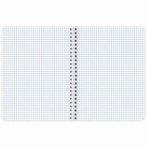 Тетрадь 48л А5 клетка гребень обложка картон Nature BRAUBERG 1/4/96