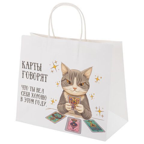 НГ Пакет подарочный крафтовый (28х24х14) Котики ЗОЛОТАЯ СКАЗКА 1/24/144
