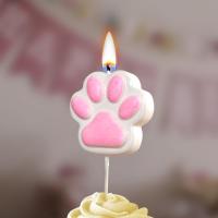 Свеча для торта на шпажке Лапка-сквиш розовая 1/30 Свеча для торта на шпажке Лапка-сквиш розовая 1/30