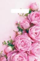 Пакет с вырубной ручкой (20х30)-30 Ненси 100/3000