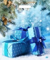 НГ Пакет с вырубной ручкой (38х45)-60 Подарки зимы ТИКО 50/500 НГ Пакет с вырубной ручкой (38х45)-60 Подарки зимы ТИКО 50/500