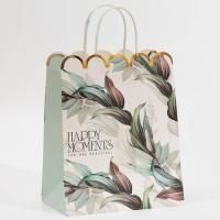 Пакет подарочный бумажный (18х23х10) крафт Moments 1/300